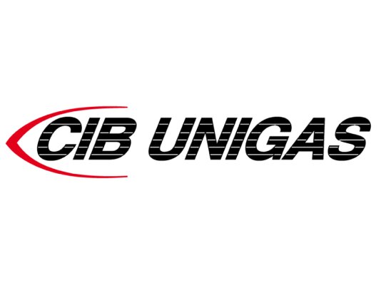 CIB Unigas 71-2P-B3/B14 550W Motor