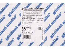 Gas pressure regulator Giuliani Anello FGDR50