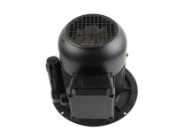 Weishaupt EC90/90-2/1 electric motor