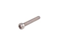Weishaupt Screw M4 x 30 mm, 409325